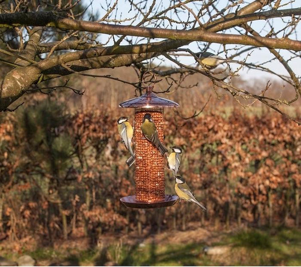 Cuivre de silo d'arachide