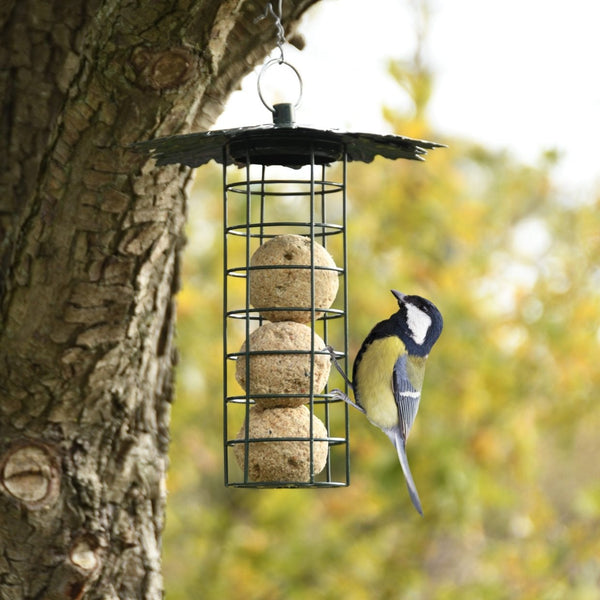 Machine à boules de graisse avec auvent