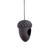 Cintre alimentaire gland