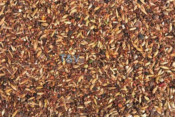 Esschert Design - Nourriture à Tartiner 4 Saisons 2.5kg