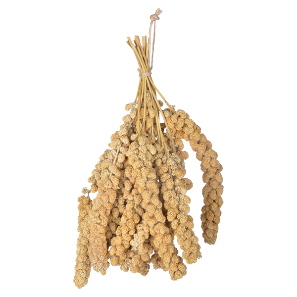 pulvériser le millet