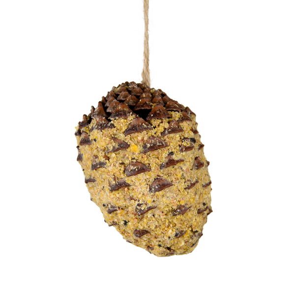 Pomme de pin farcie