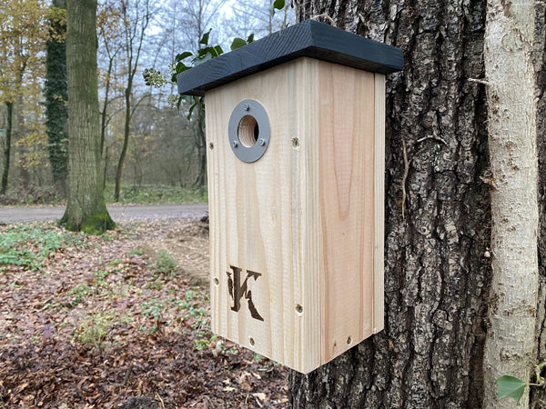 Kooprijk - Mésange charbonnière