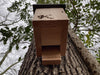 Kooprijk - Chauve-souris