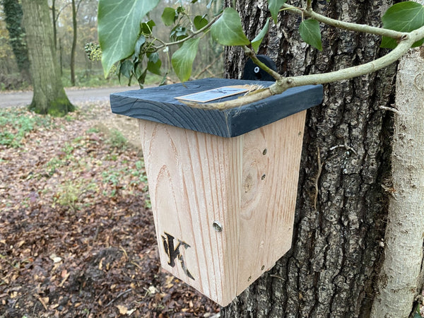 Kooprijk - Chauve-souris