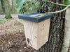 Kooprijk - Chauve-souris