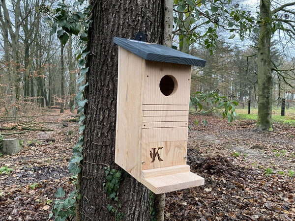 Kooprijk - Écureuil