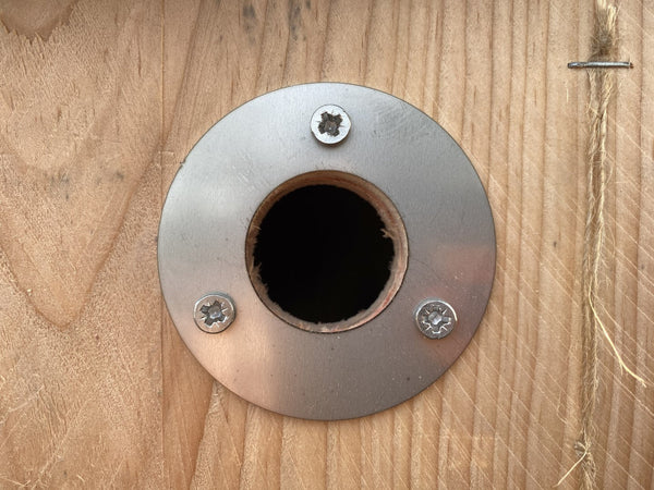 Kooprijk - Mésange bleue