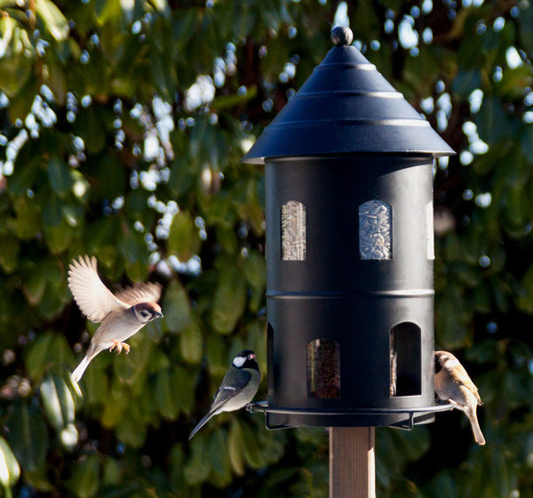 Grote Vogelvoedersilo XL Zwart - 6 Liter Voercontainer | Wildlife Garden