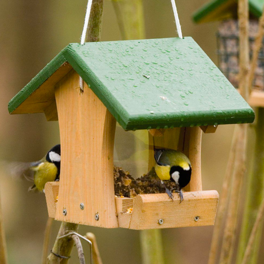 Protection des oiseaux - Rénovation du nichoir