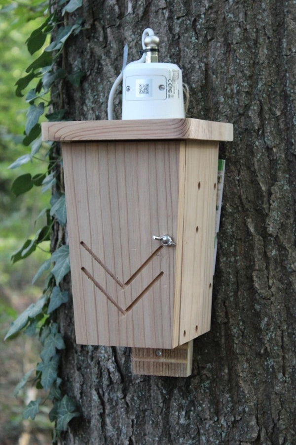 CaptureWILD - Chauve-souris