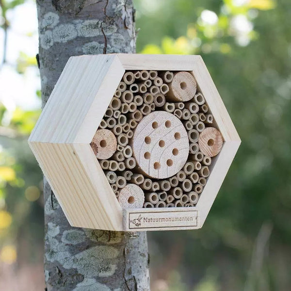 Monuments naturels Hôtel à insectes Soleil