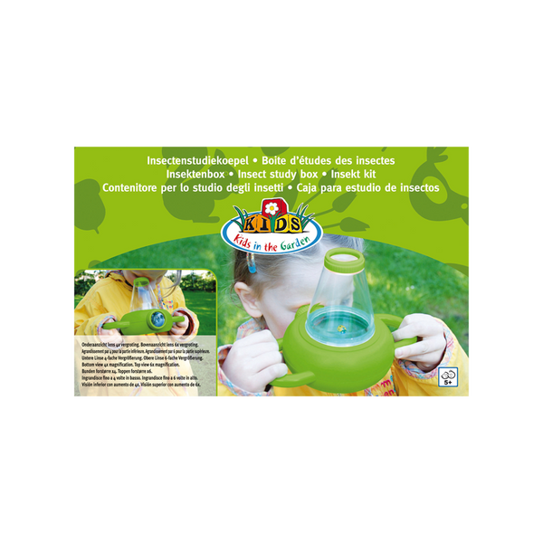 Boîte d'étude d'insectes