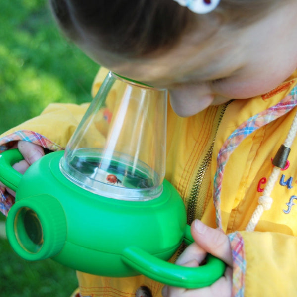 Boîte d'étude d'insectes