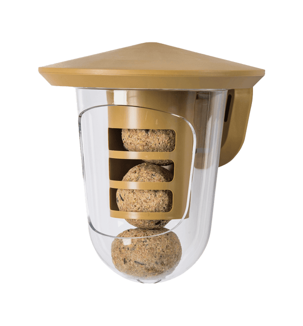 SingingFriend - Multi feedR marron transparent