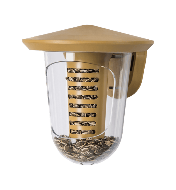 SingingFriend - Multi feedR marron transparent