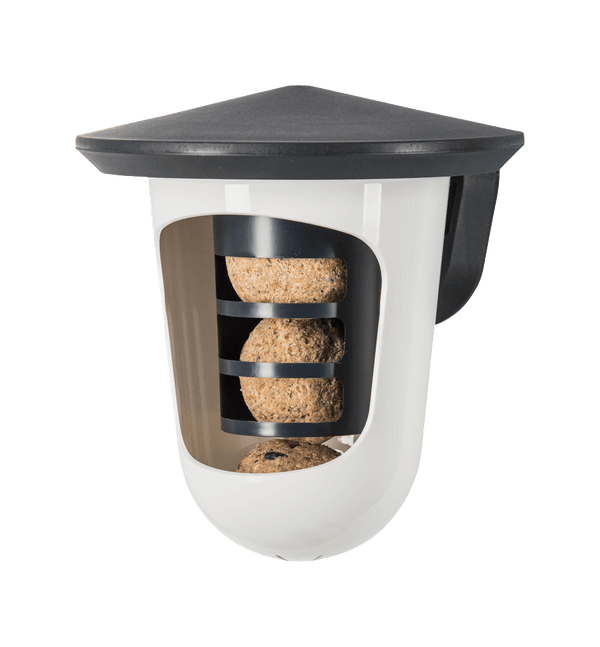 SingingFriend - Multi feedR anthracite