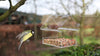 Table d'Alimentation Suspendue en Acrylique Transparente