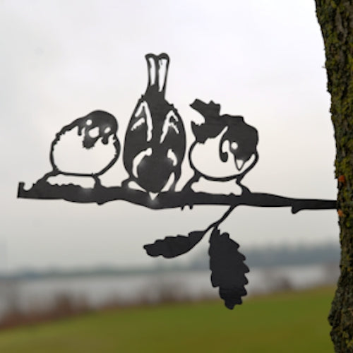 Birdwise - Trio de moineaux domestiques #1