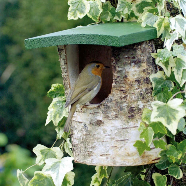 Voor elk vogeltje een thuis