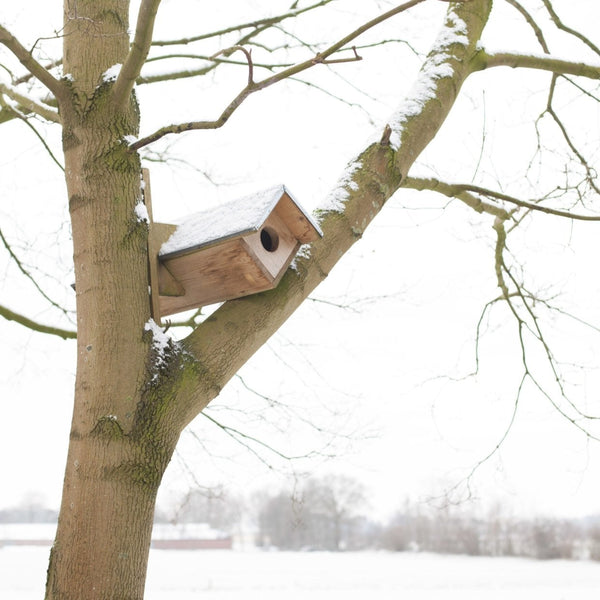 Petit nichoir hibou