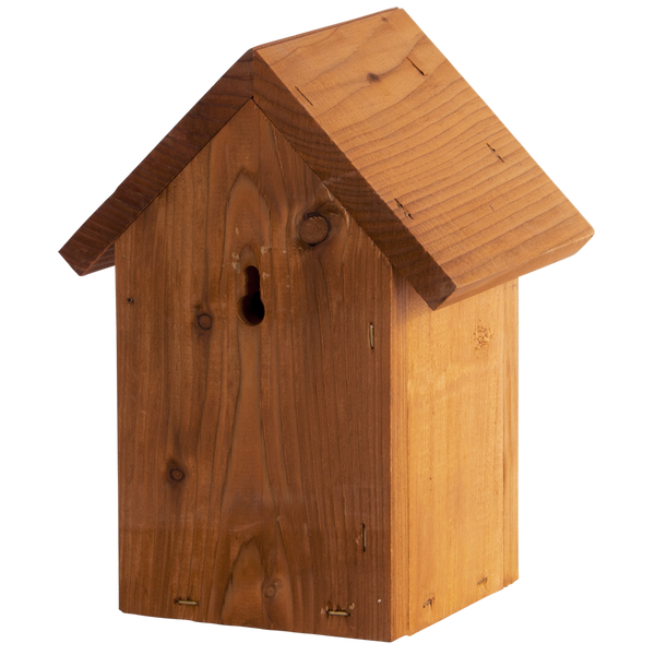 Nichoir Wren Douglas Wood