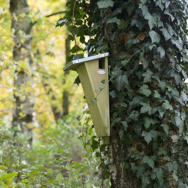 Boomkruiper Nestkast FSC-hout Zij-ingang | Esschert Design – foto 3
