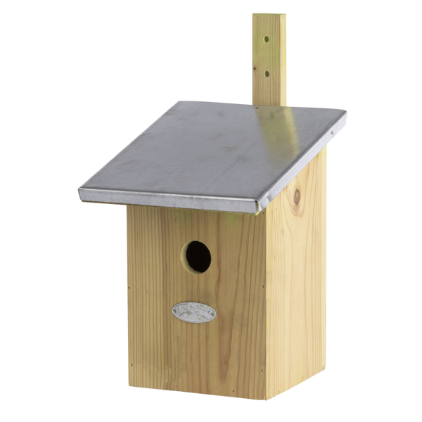 Nichoir à mésange charbonnière miroir