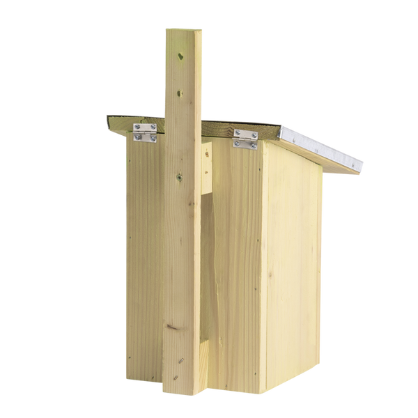 Nichoir à mésange charbonnière miroir