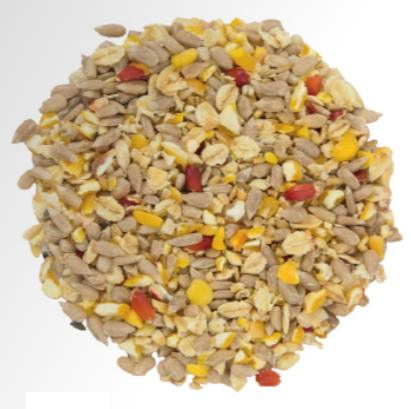 Protection contre les oiseaux - Premium No Mess