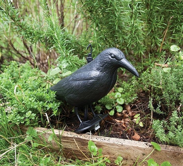 Esschert design - Vogelverschrikker Kraai