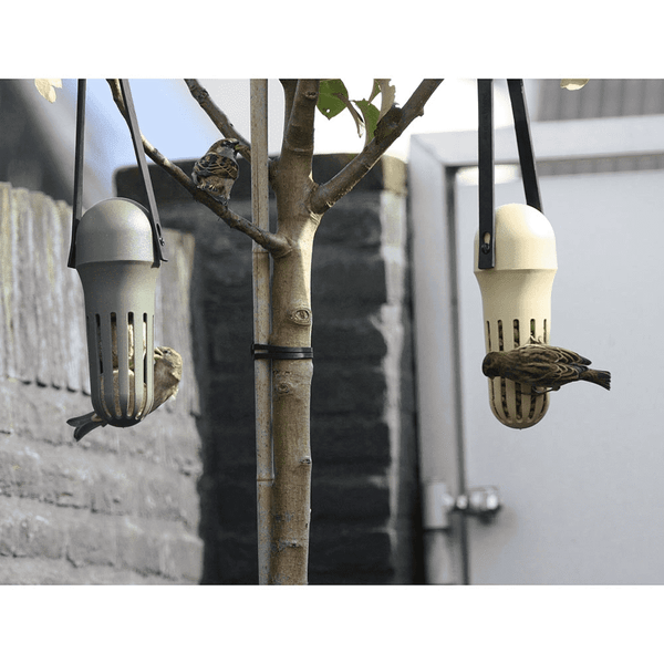 Ami chanteur - Max beige