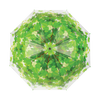 couronne d'arbre parapluie