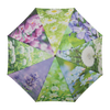 Fleurs parapluie