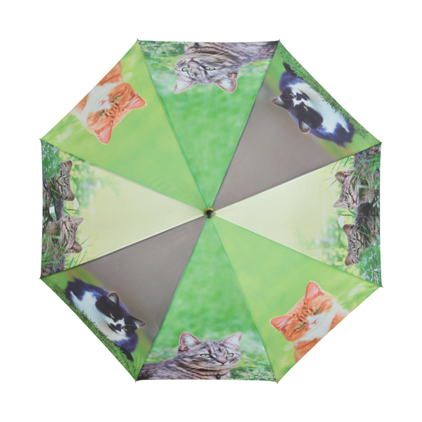 Parapluie Chats