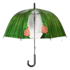 Paraplu kiekeboe ass.