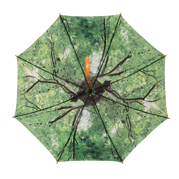 couronne d'arbre parapluie