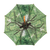 couronne d'arbre parapluie