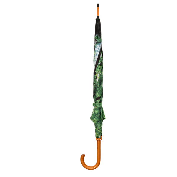 couronne d'arbre parapluie