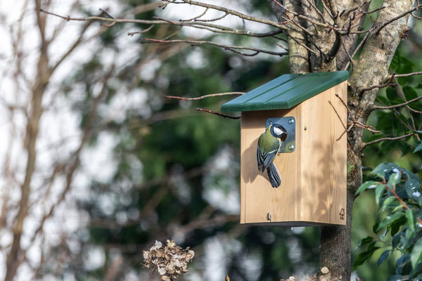 Nestkast Seattle 32mm – in de tuin