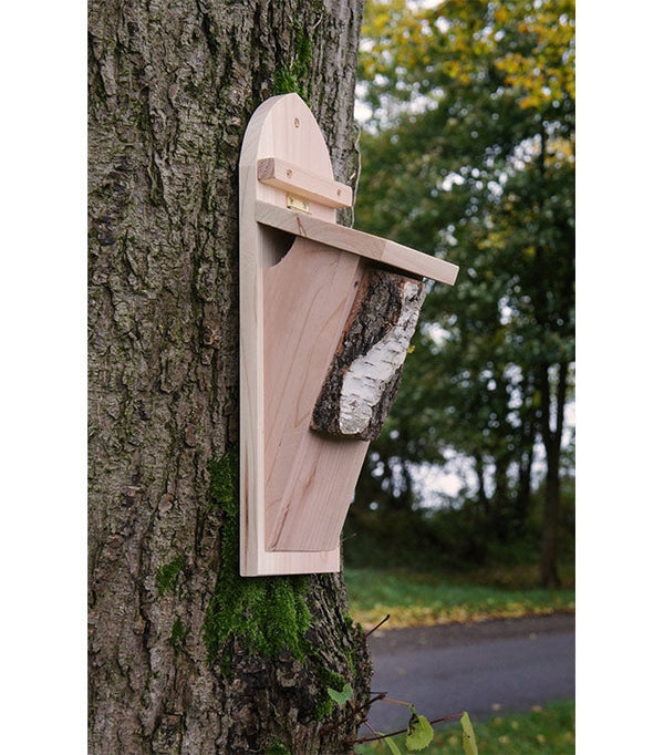 Boîte de plante grimpante d'arbre