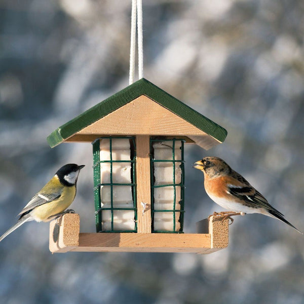 Protection contre les oiseaux Porte-bloc de graisse Pasadena