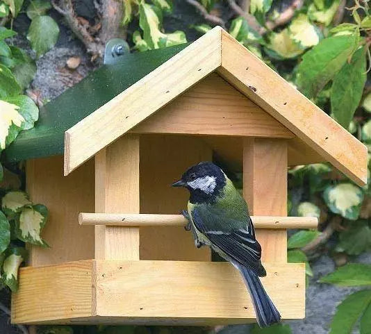 Protection des oiseaux - Nichoir Memphis