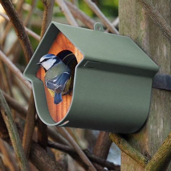 SingingFriend - Porte-pot de beurre de cacahuète Evie - vert