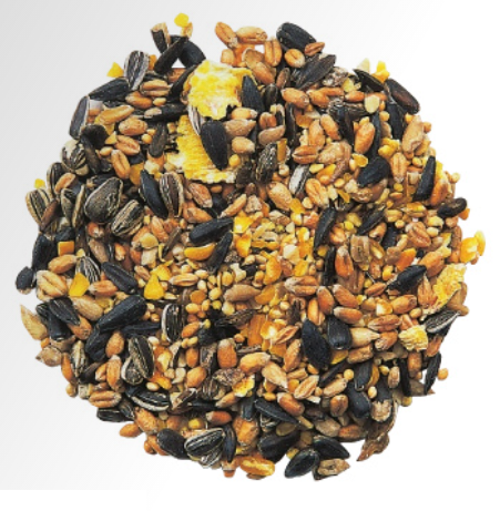 Protection des oiseaux - mélange de table d'alimentation premium