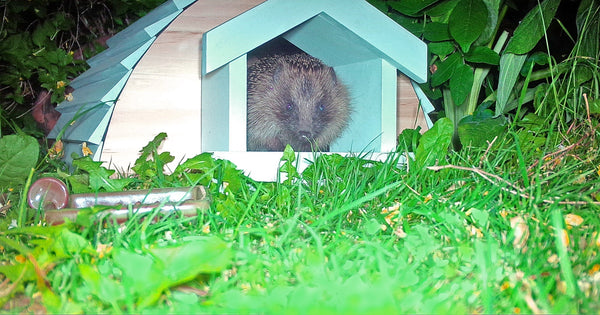 barre de maison de hérisson