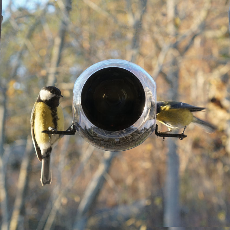Mangeoire à fenêtre Birdfeeder– Vogelhuisjestore