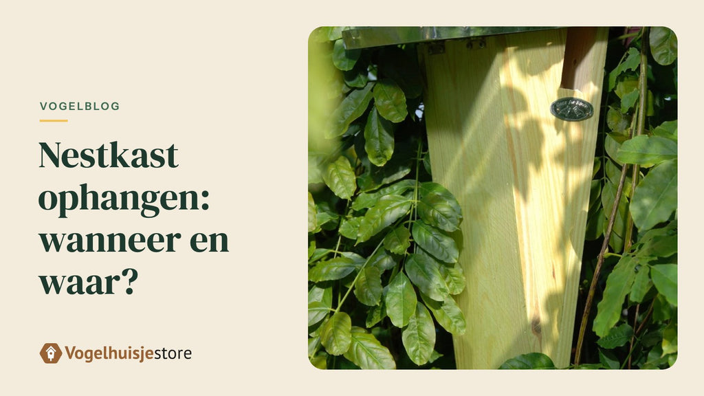 Houten nestkast aan een boomstam in een tuin, met de invliegopening naar het oosten