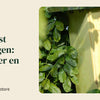 Houten nestkast aan een boomstam in een tuin, met de invliegopening naar het oosten