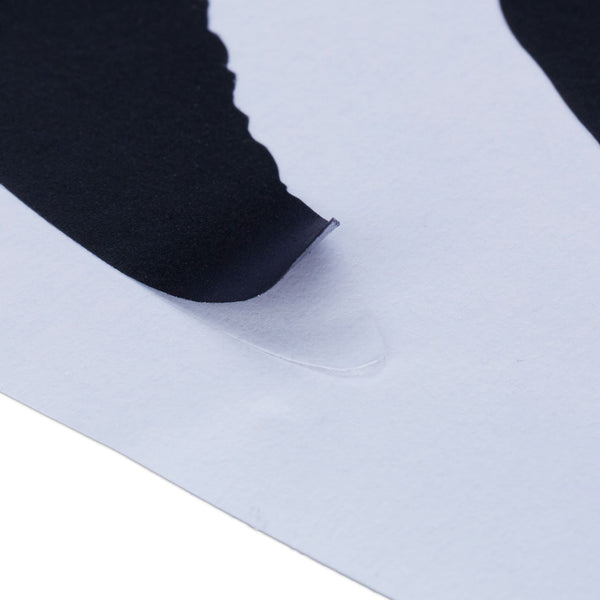 Autocollants de fenêtre oiseau 9 pièces en set